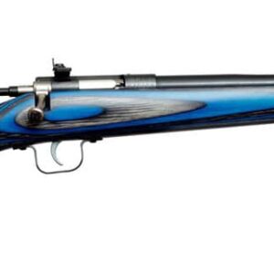 KEYSTONE CRICKETT 22LR YOUTH