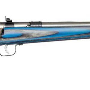 KEYSTONE CRICKETT 22LR YOUTH