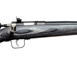 KEYSTONE CRICKETT 22LR YOUTH